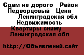 Сдам не дорого › Район ­ Педворцовый › Цена ­ 7 000 - Ленинградская обл. Недвижимость » Квартиры сниму   . Ленинградская обл.